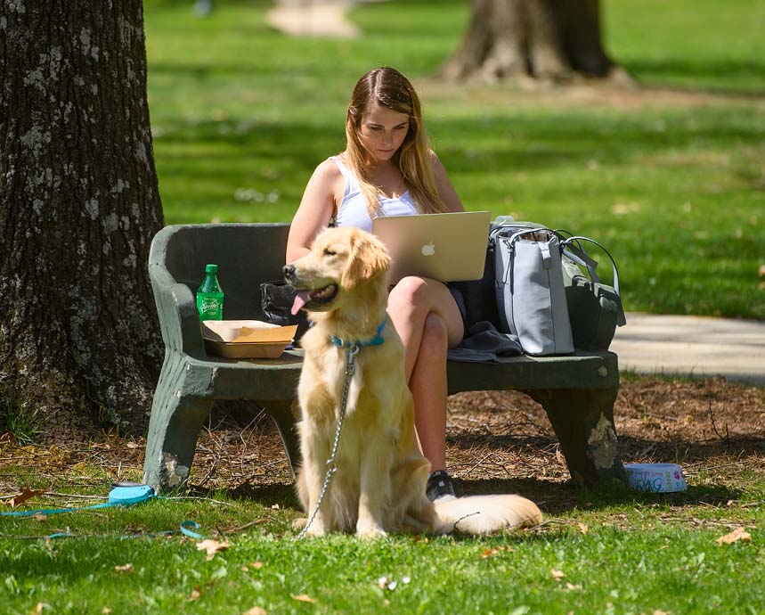 A student uses her computer while sitting in the Grove with her golden retriever.