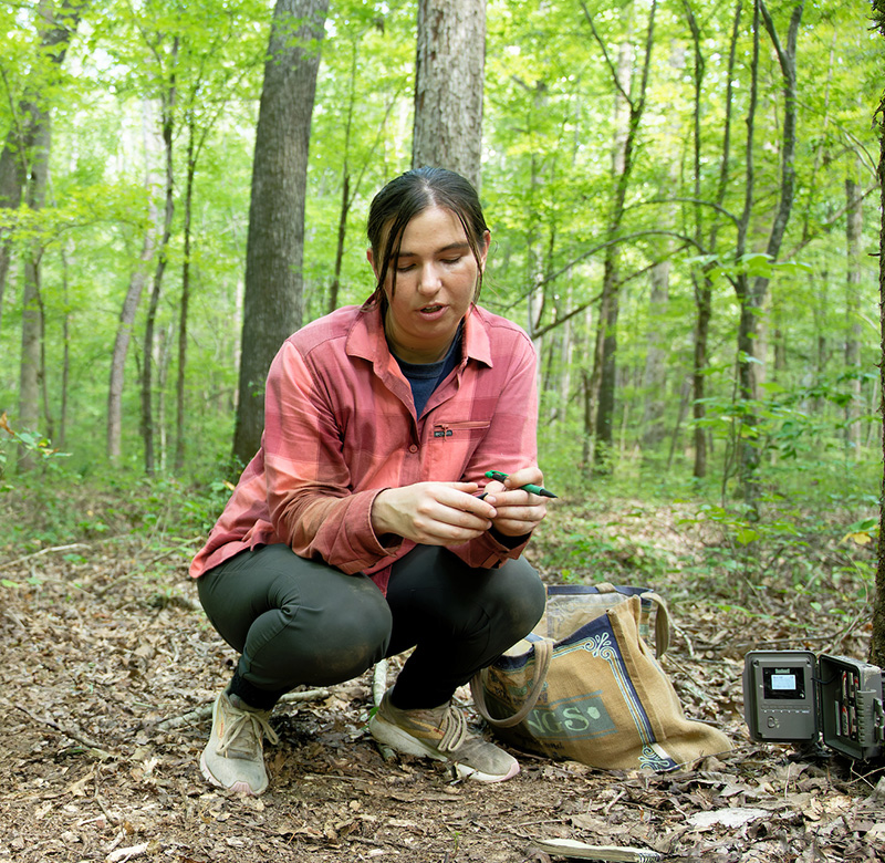 biology student conducting research at the field station