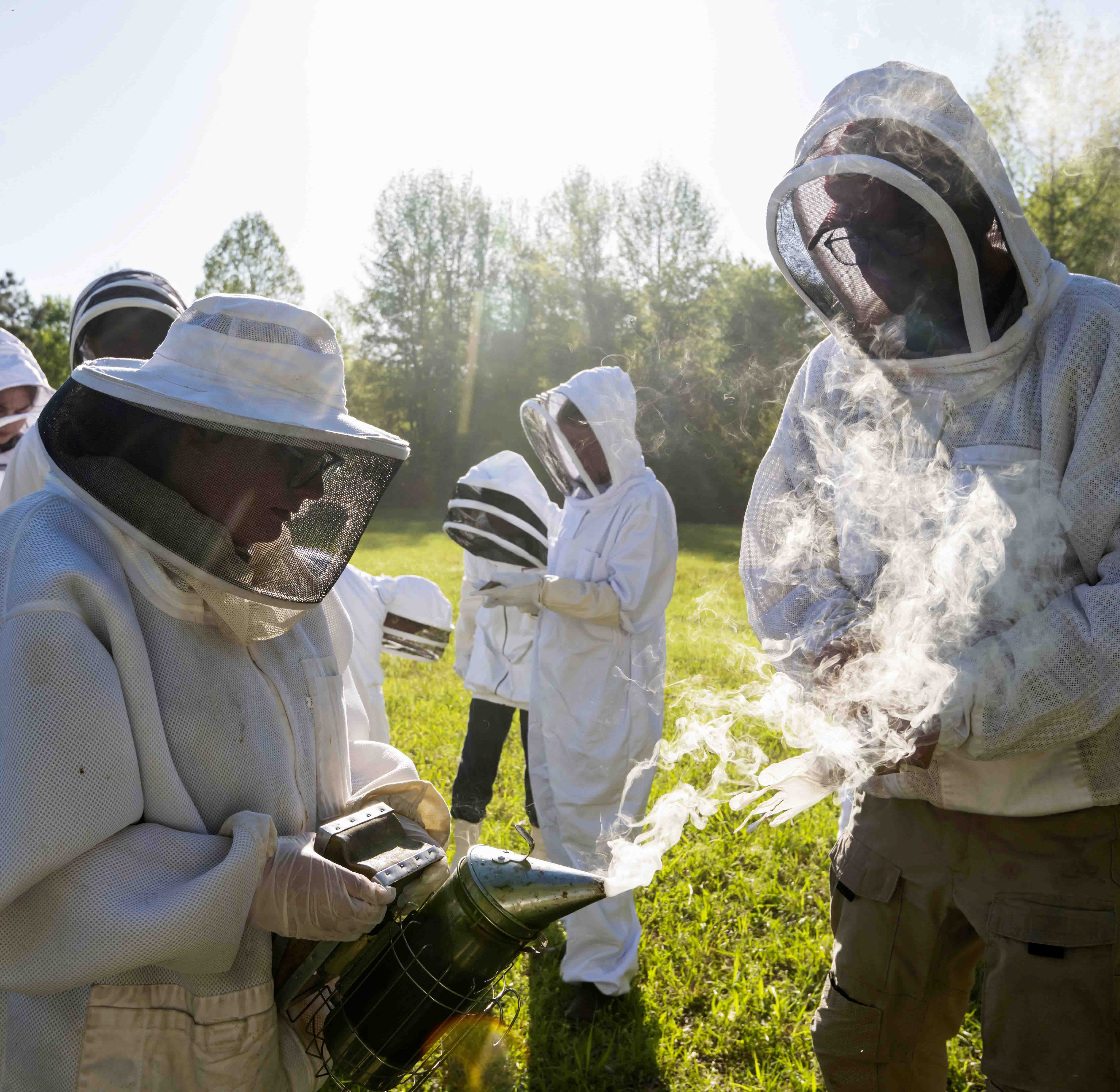 students conducting research on honey bees