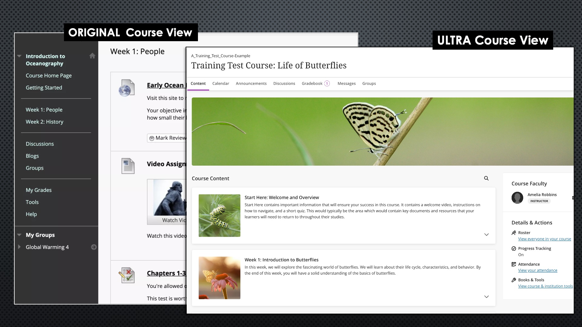 Original Course View vs Ultra Course View