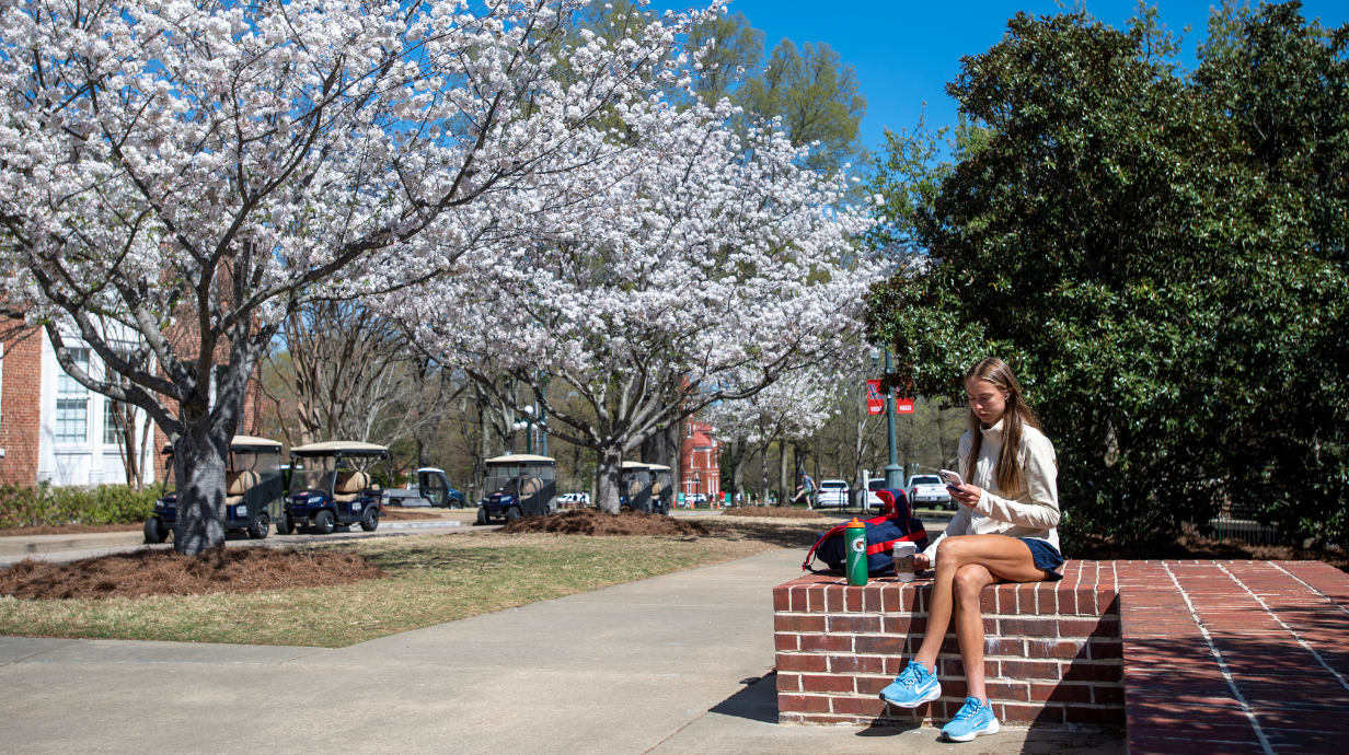 A student on UM's Oxford campus, researching graduates school opportunities. 