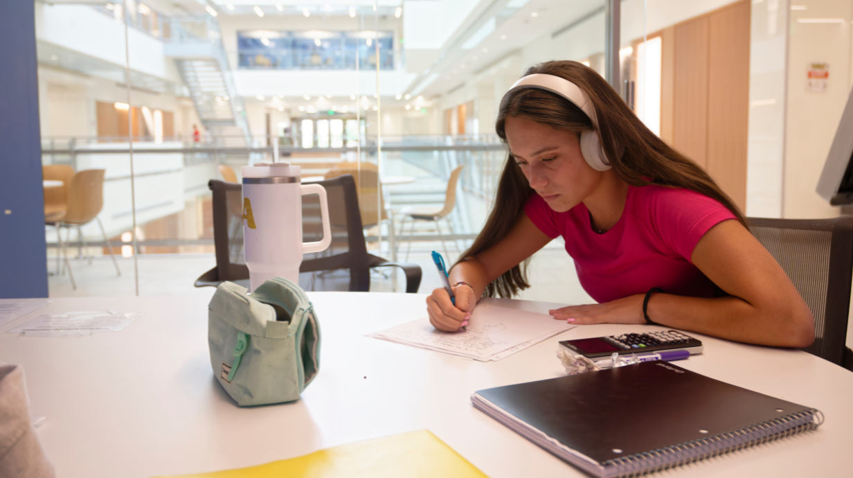 Student hard at work, studying for grad school.