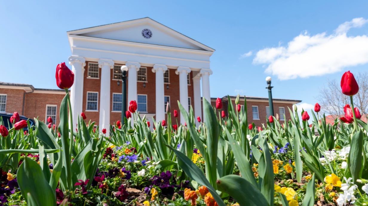 University of Mississippi Lyceum with tulips in bloom in front 