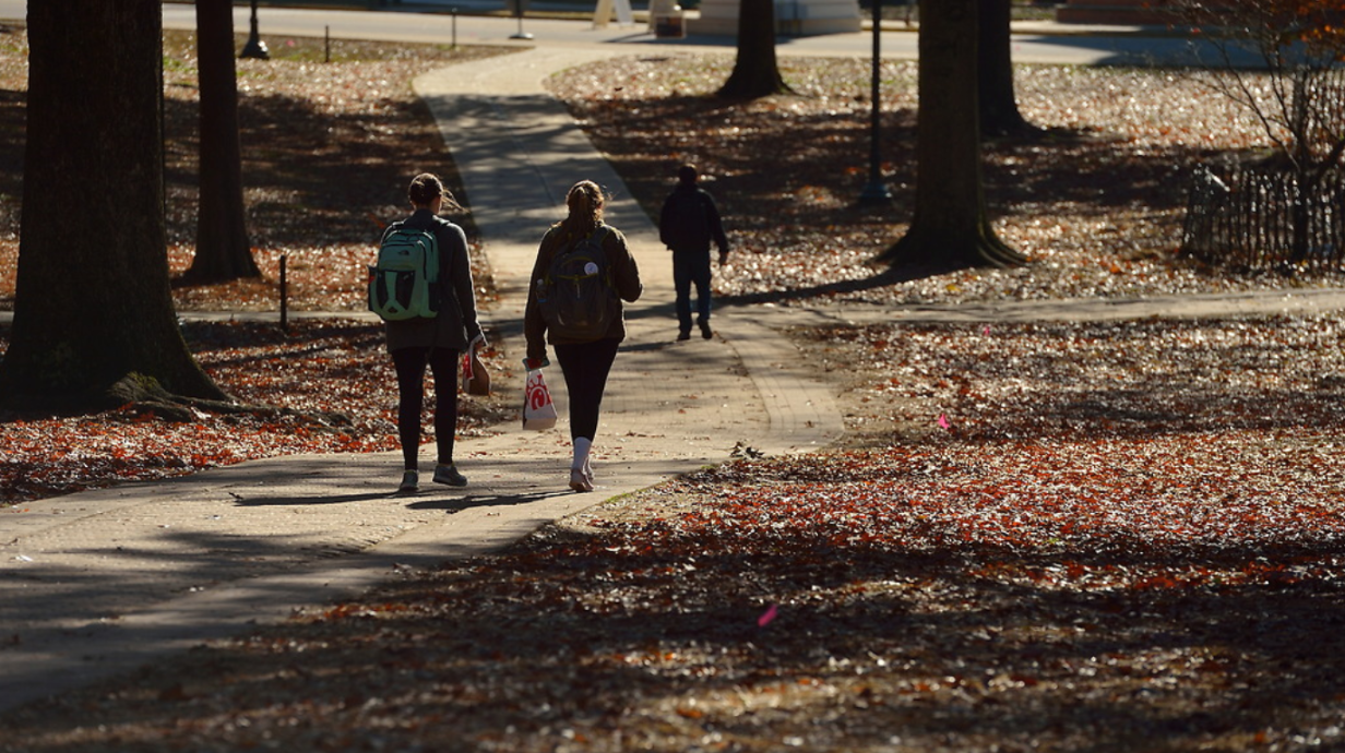 Students walk through the Grove on a fall day.