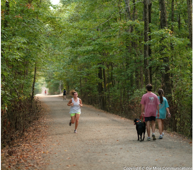 Individuals on running and walking on the South Campus Rail Trail