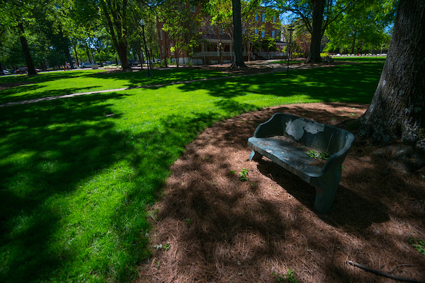 Turf in the Grove at Ole Miss