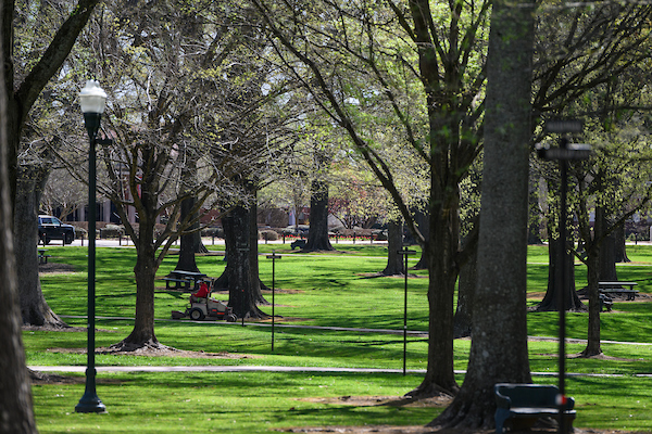 Employee aerating the Grove at Ole Miss 