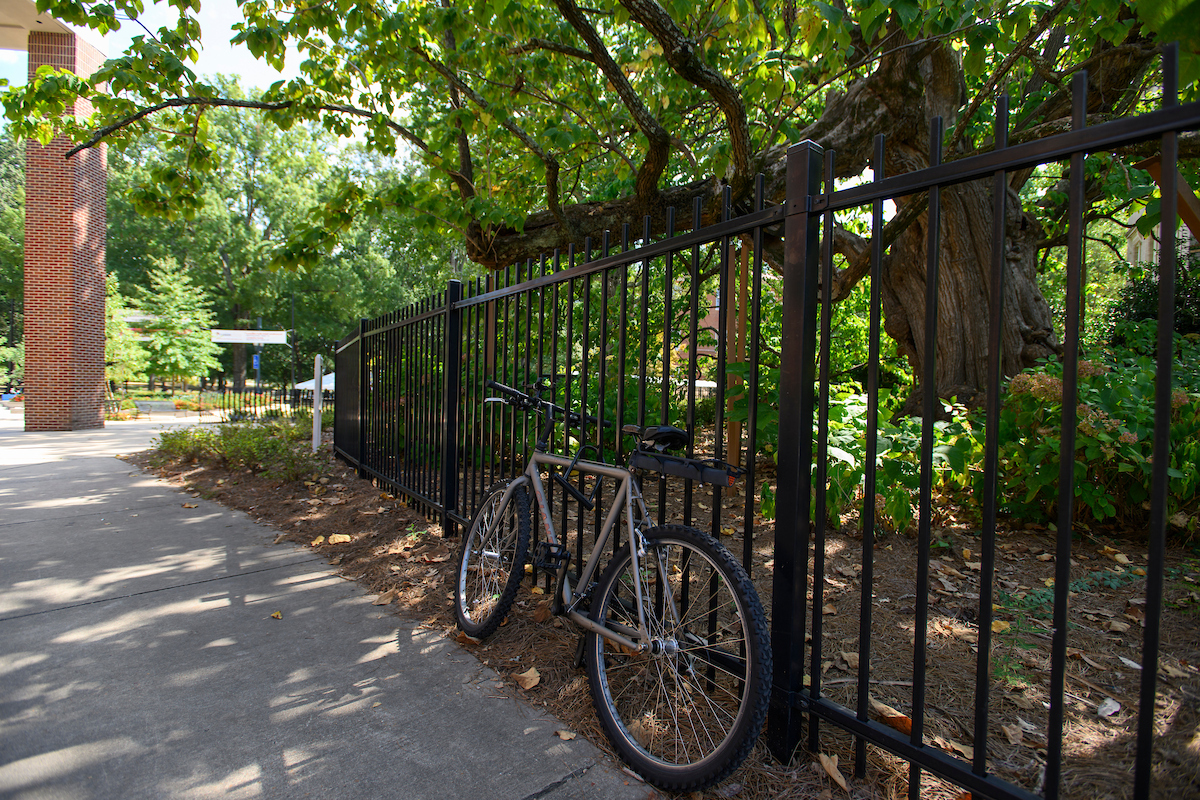 Bike leaning against a fence