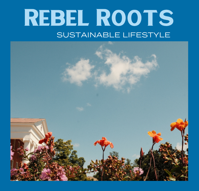 "Rebel Roots- Sustainable Lifestyle" September Edition Cover