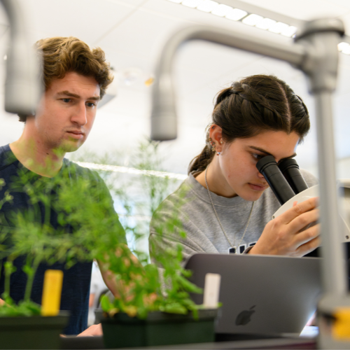 Two students sitting at a lab bench. One is looking through a microscope.