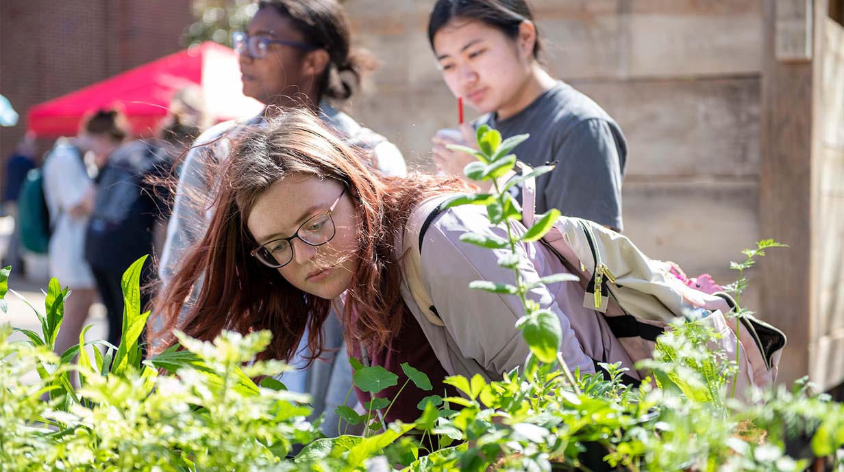 An Ole Miss student looks at plants during the Oxford Community Market