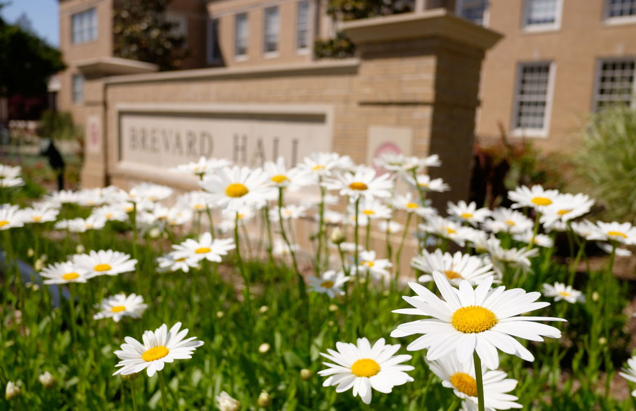 Flowers outside Engineering School