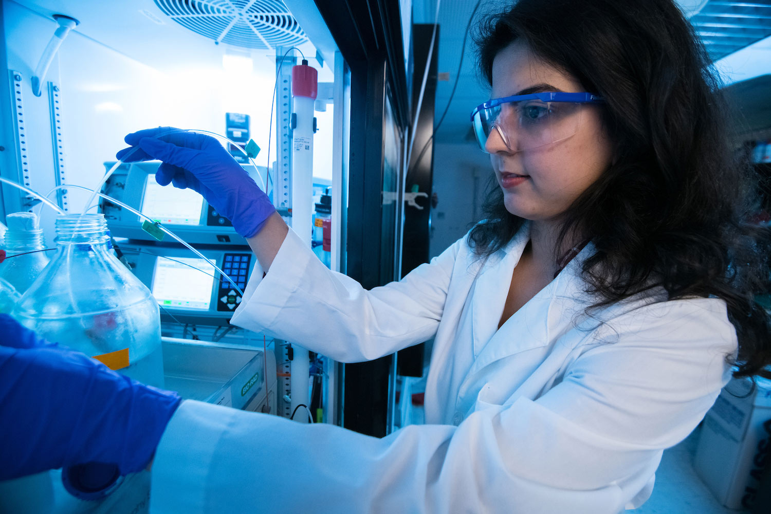 Student Working in Lab