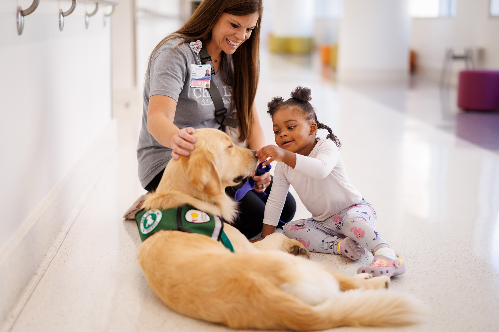 Image of therapy dog