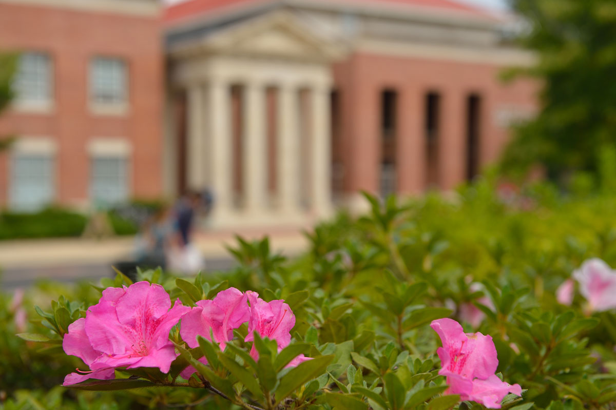 Flowers outside the school of business