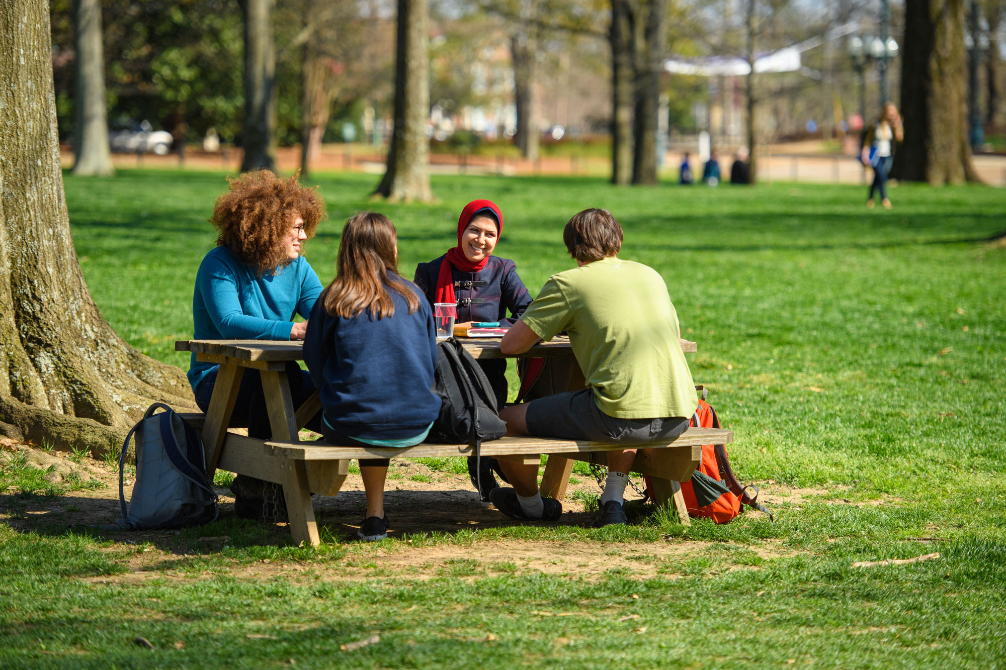 Students Studying in the Grove