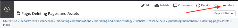 deleting-pages-assets-delete1.png