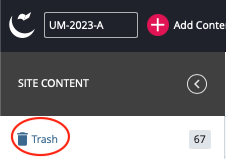 deleting-pages-assets5.png