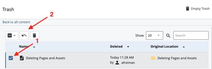 deleting-pages-assets6.png