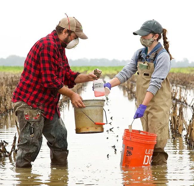 Two Ole Miss graduate students conduct research in the Delta.