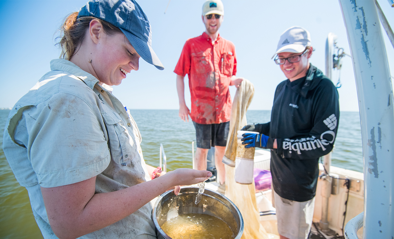 Ole Miss Students Investigate Oyster Population in Mississippi Gulf