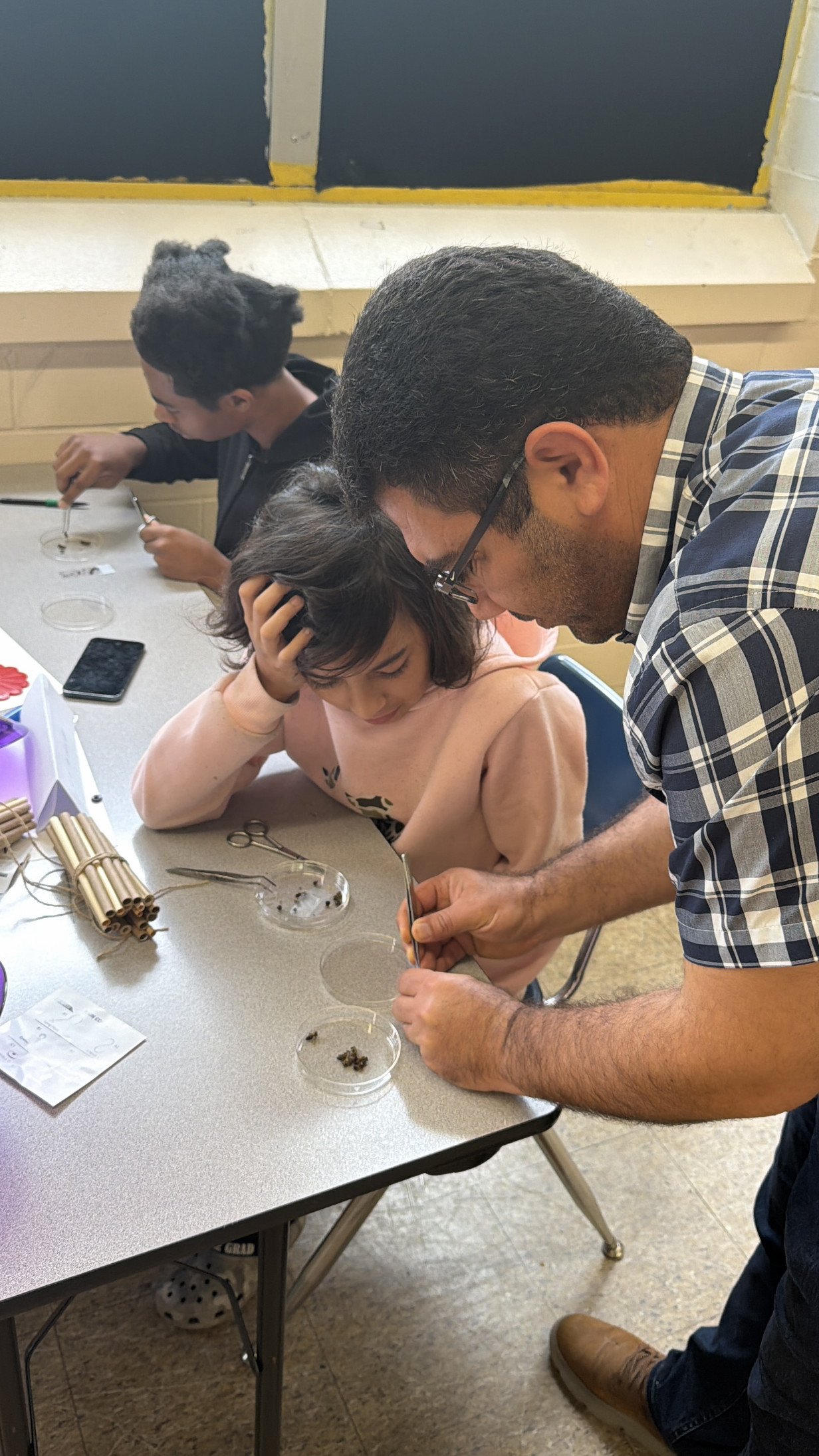 An adult (bee scientist) and a child work together to dissect small bees with tweezers in a petri dish. Other students and lesson materials are visible in the background.