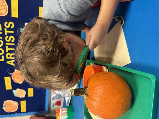 A student uses a magnifying glass to inspect a pumpkin.