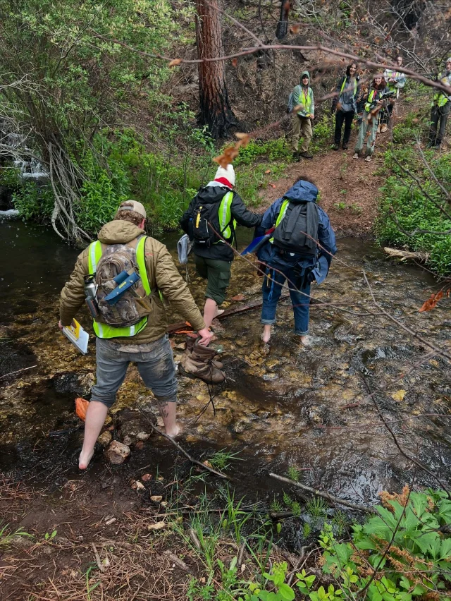 Geology students in high-vis and hiking gear wade through a river in the forest