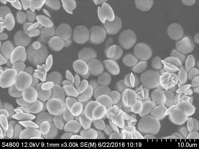 Microbial Rendering