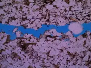 Microscopic view of petrographic thin sections from the Cotton Valley Group