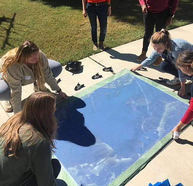 cyanotype exposing process