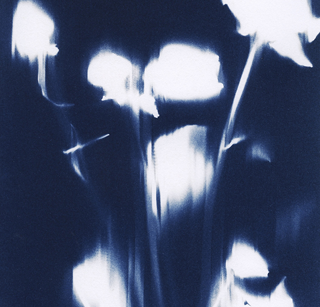 Haley Chiles Artwork