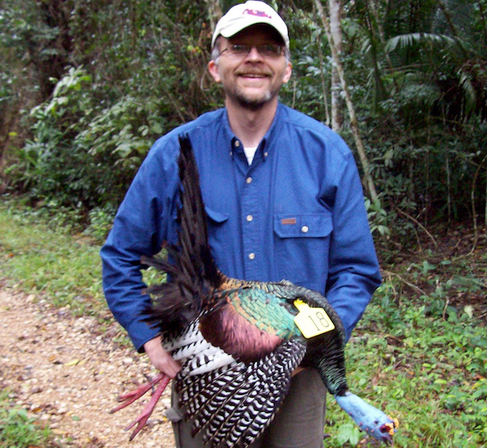 Dr. Richard Buchholz with an ocellated turkey.