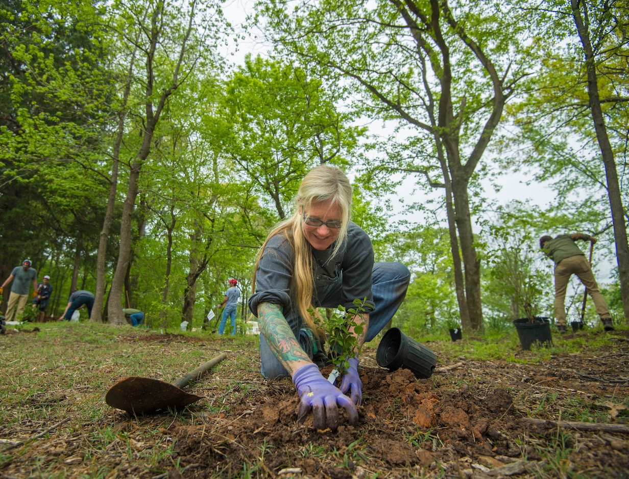 woman crouched on the ground and planting a tree