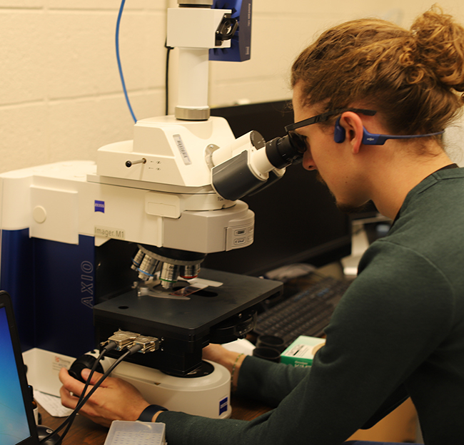 student working at microscope and computer