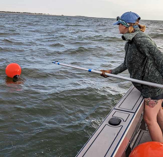 Girl retrieves recording equipment from an artificial reef near Cat Island in the Gulf of Mexico. Mazariegos deployed the devices for a week to capture the sounds of fish and other creatures living around the reefs. 