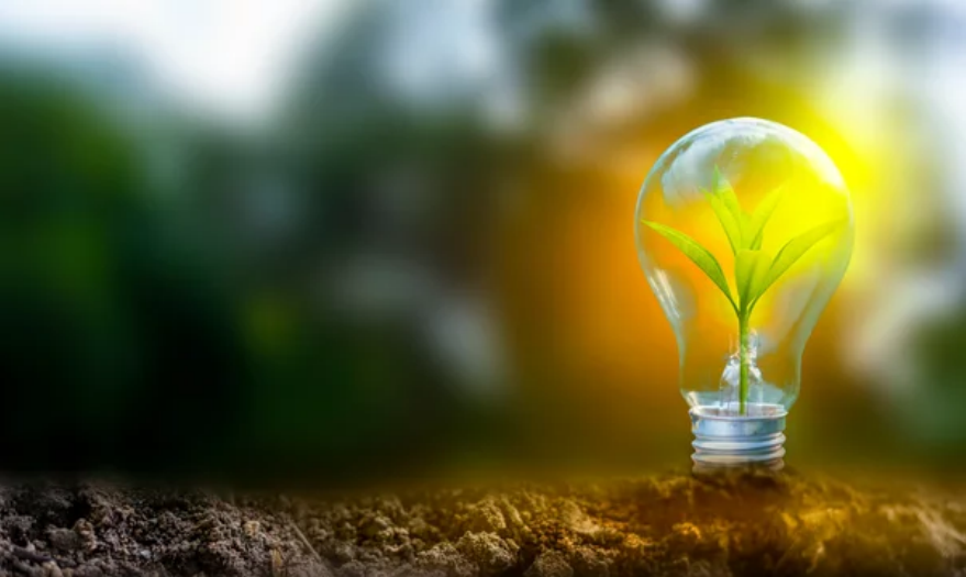 Lightbulb with small sprouting plant inside of it. Lightbulb is in the dirt.