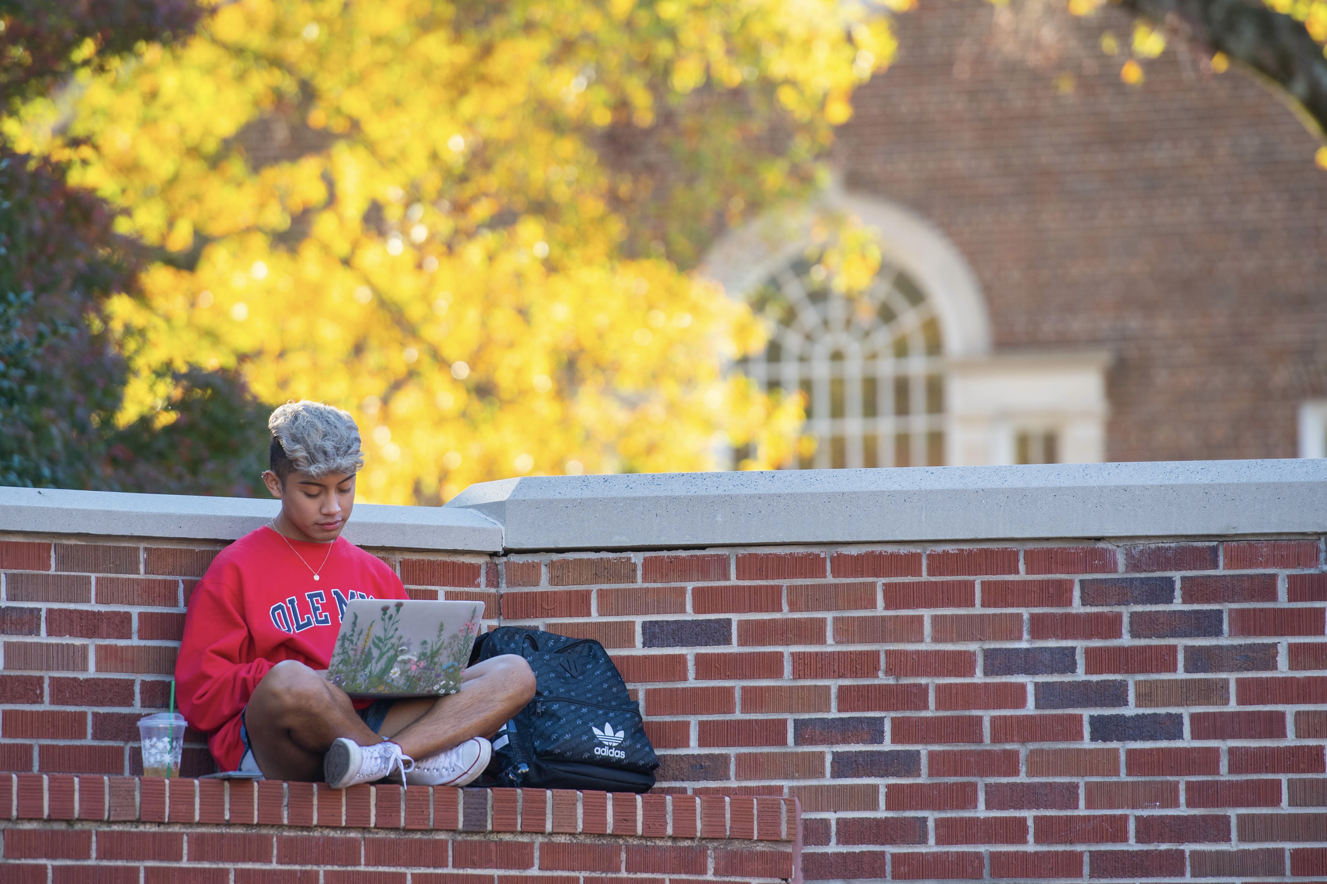 person sitting on brick wall with fall trees in background. Person is working on a laptop and has backpack next to them.