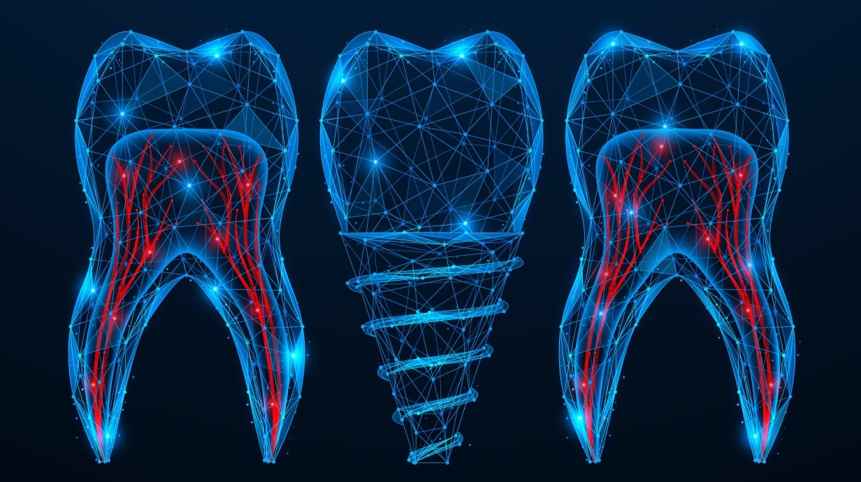 illustration of three teeth, showing the roots and veins