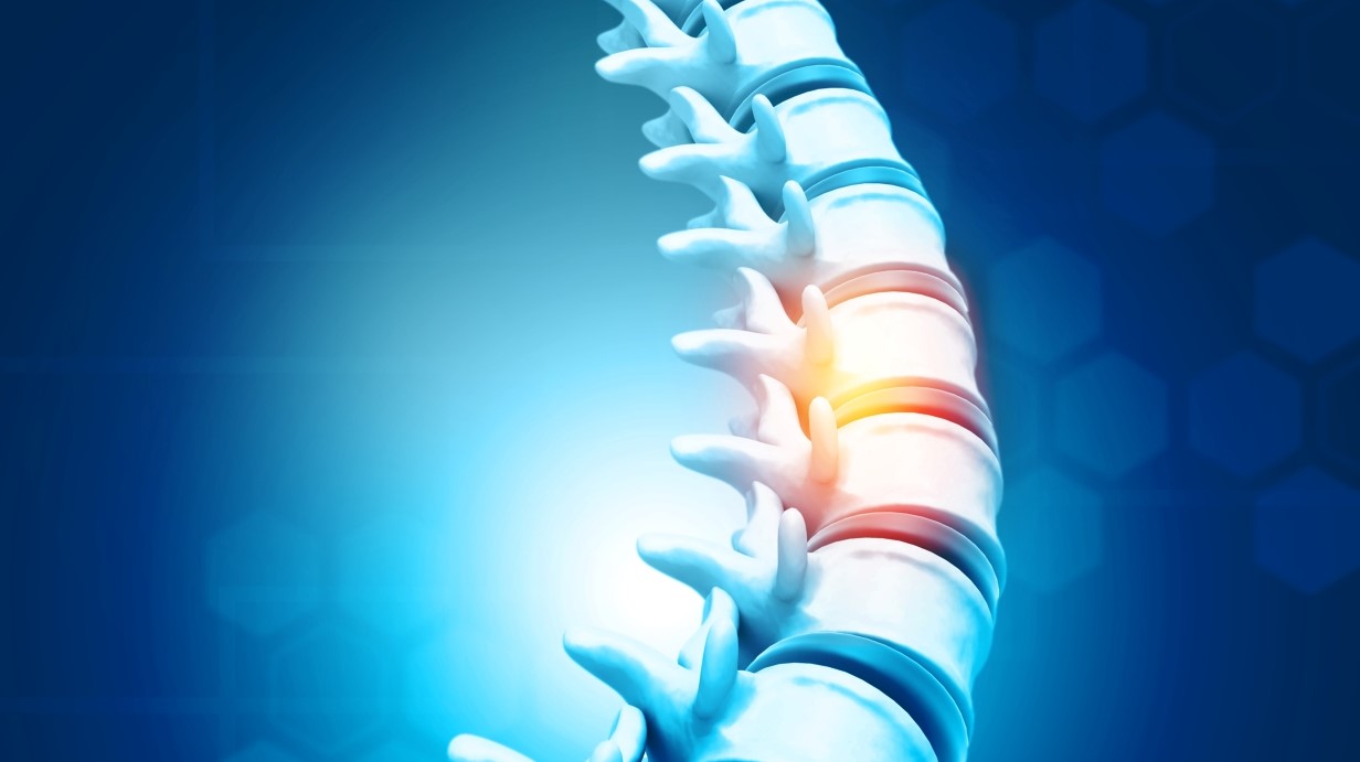 illustration of a spital cord