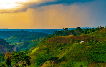 green outdoor landscape