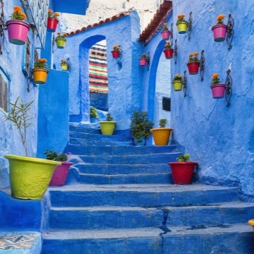 image of a street in North Africa where the walls are painted blue and there are potted plants attached to walls