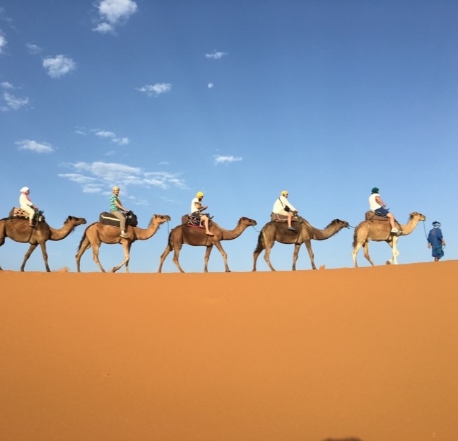 students riding on camels on a ridge of sand in a desert 