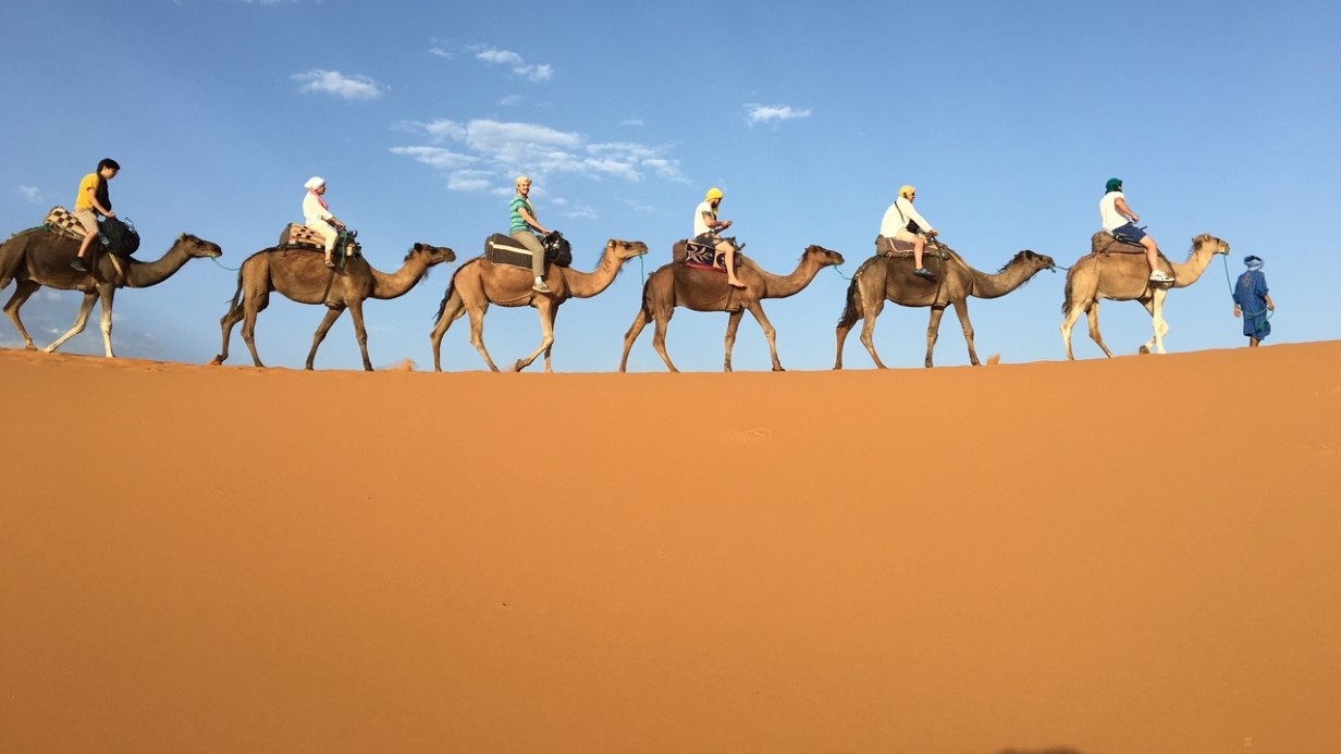 image of students riding camels in a line across a desert ridge