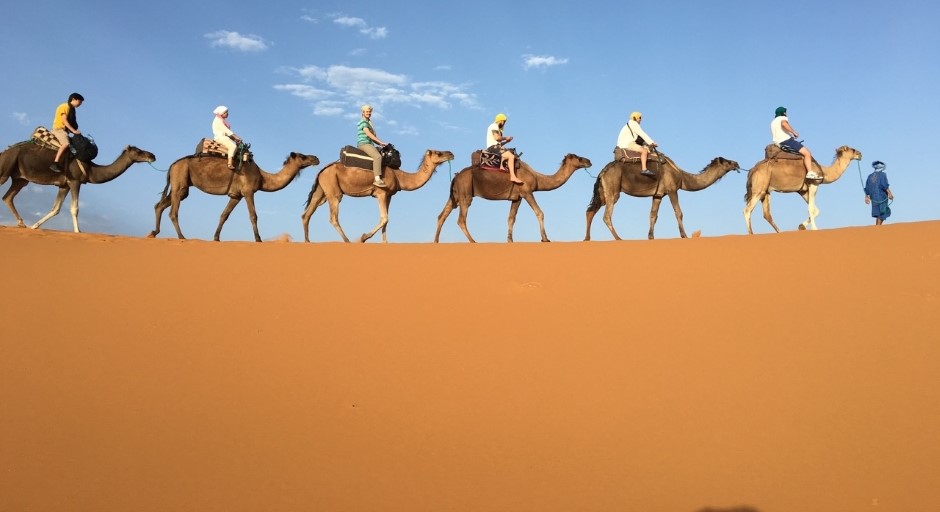 people riding camels who are walking along a desert ridge