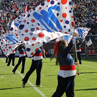 Members of the color guard spin their flags in unison during a halftime performance