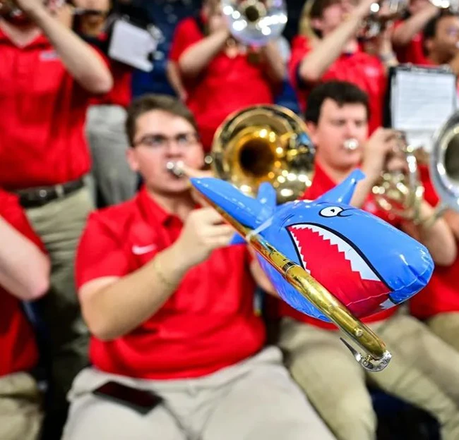 A band member of the Sound of the Sip plays his brass instrument during a game, surrounded by his band mates, with a blowup shark attached to the end of his instrument