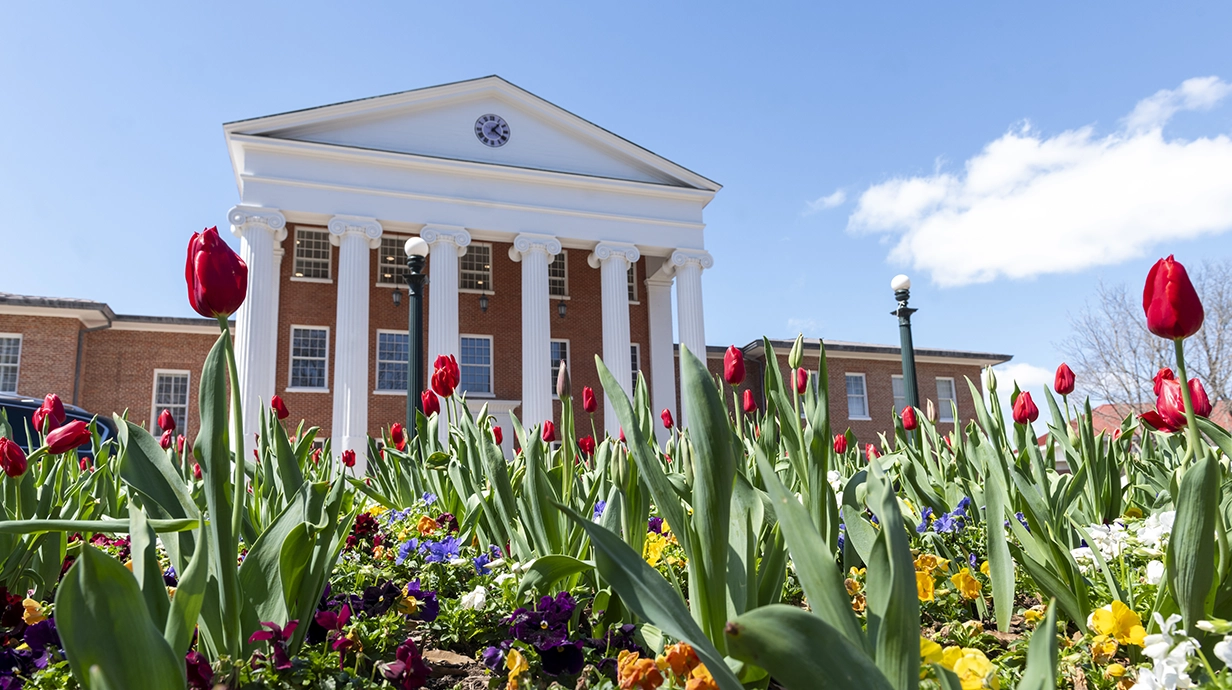 the lyceum building behind a patch of tulips and spring flowers