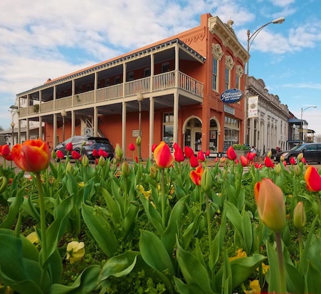 square books and a bed of tulips