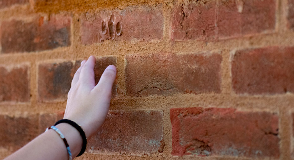 hand on brick